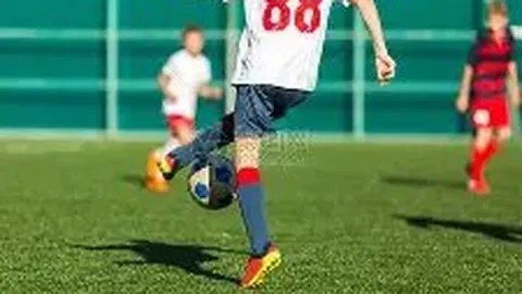 武磊领衔国青昔日梦碎：15年前主场止步八强，今朝星光熠熠国足再起航